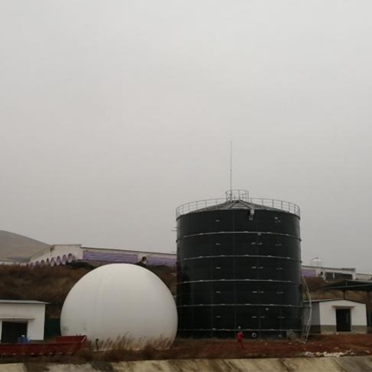 标准化养猪场配套大型沼气工程