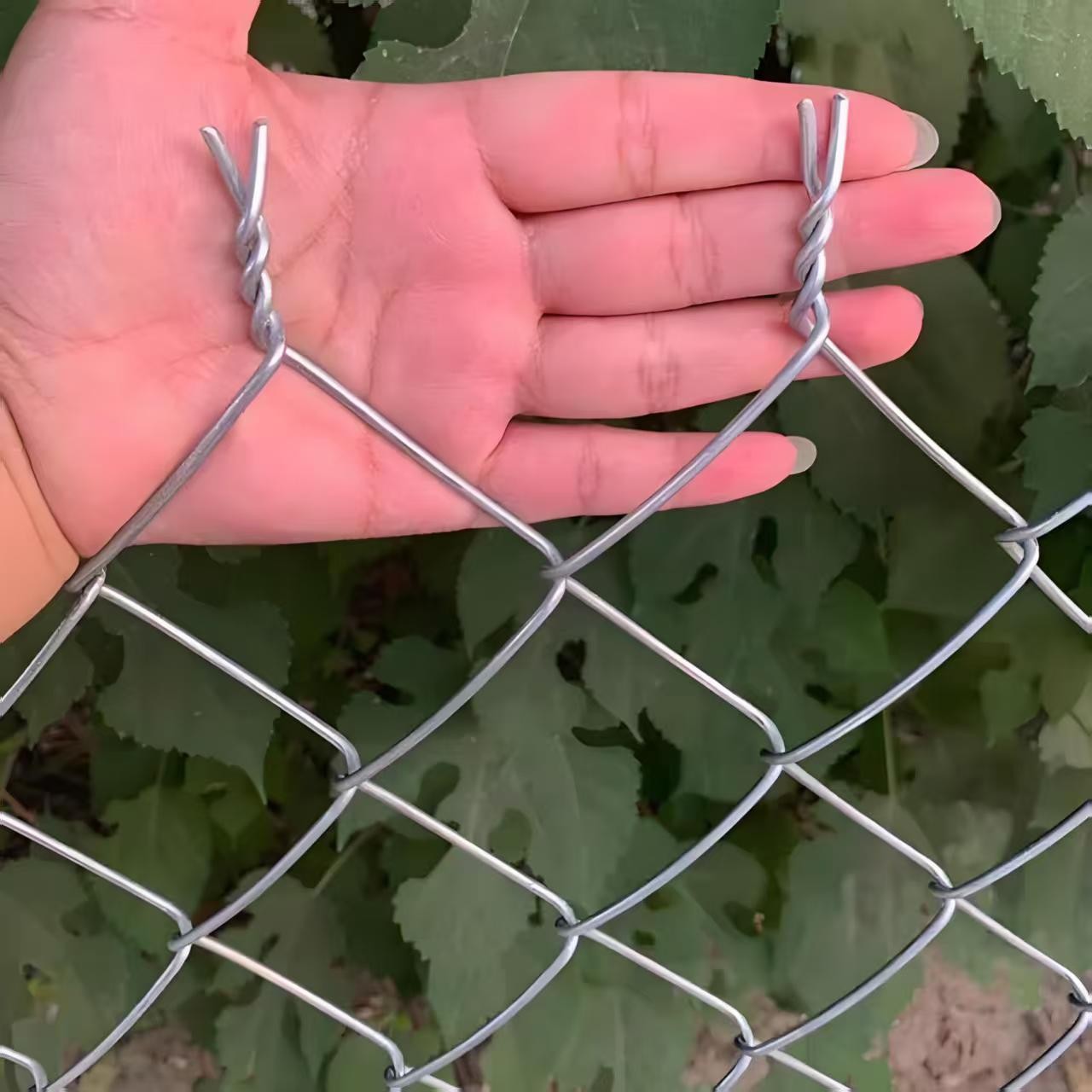 镀锌铁丝网